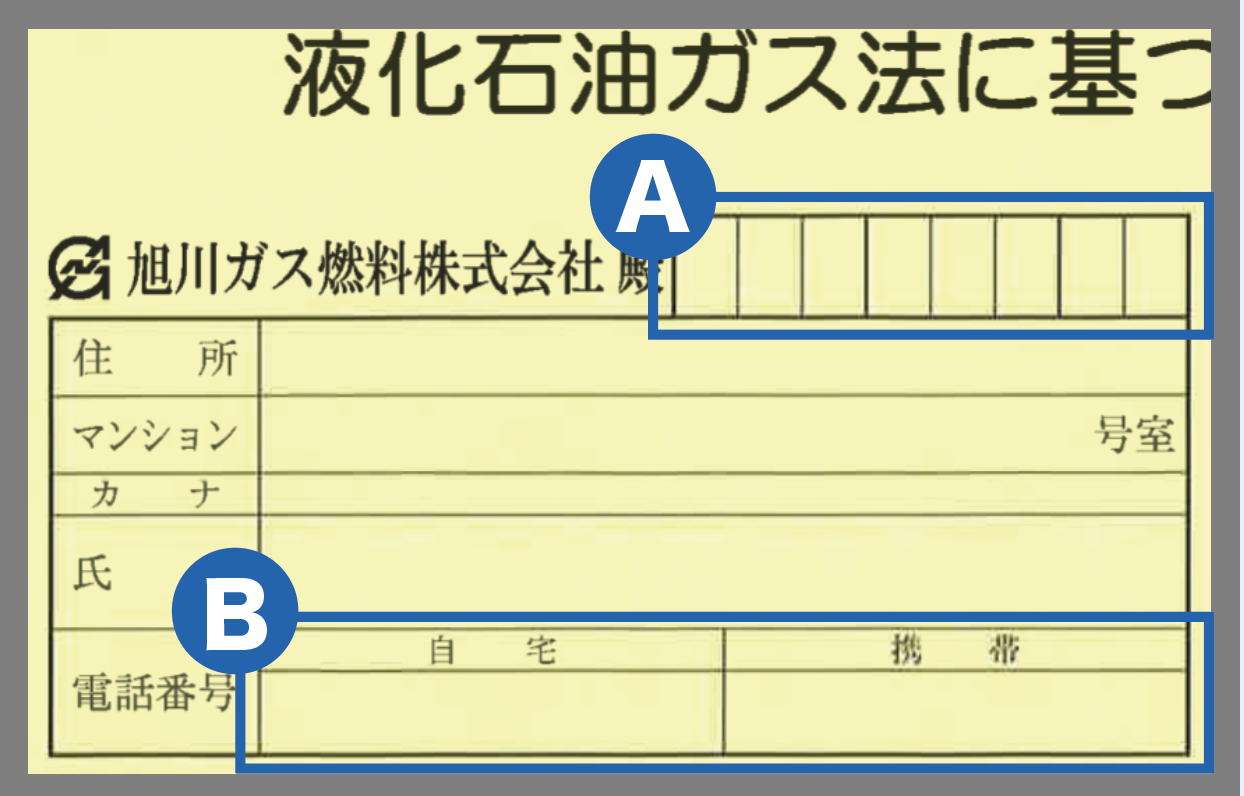 入力例の説明画像